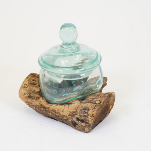 גזע עם צנצנת זכוכית קטנה