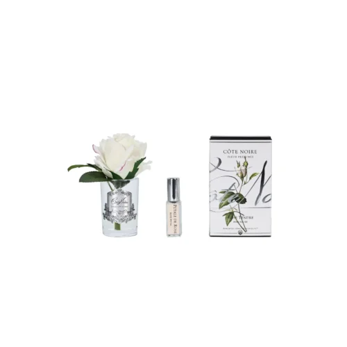 ורד בודד קטן BLUSH כלי שקוף